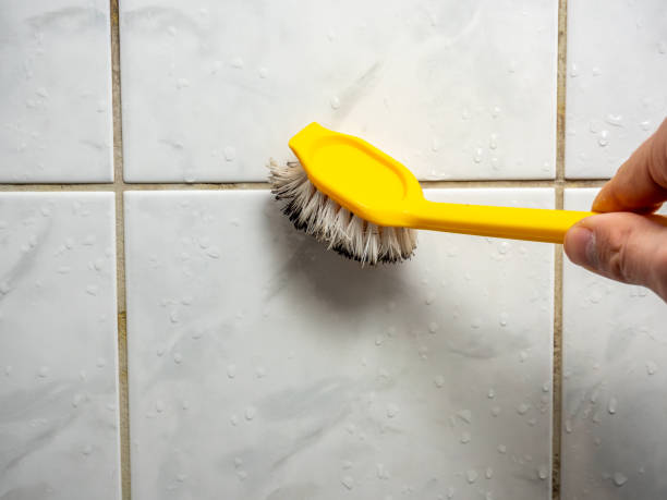 Best Bathroom Mold Remediation in Cicero, IL