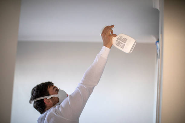 Best Basement Mold Remediation in Cicero, IL
